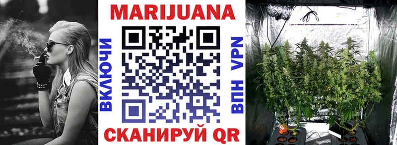 Бошки марихуана сатива  Купить  Щигры 
